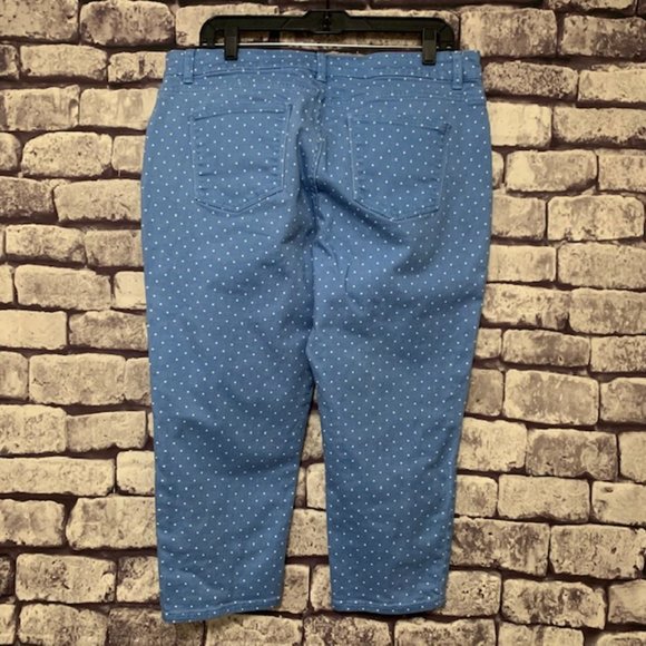 Talbots Blue & White Polka Dot Pants Size 14P - Picture 5 of 9